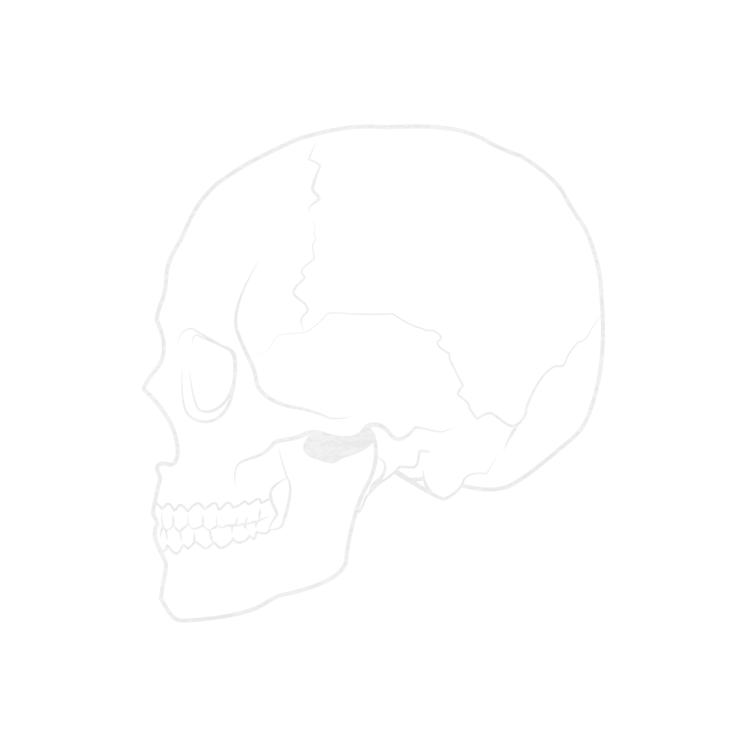 Transparent Skull Illustration on Clear Background for Graphic Design