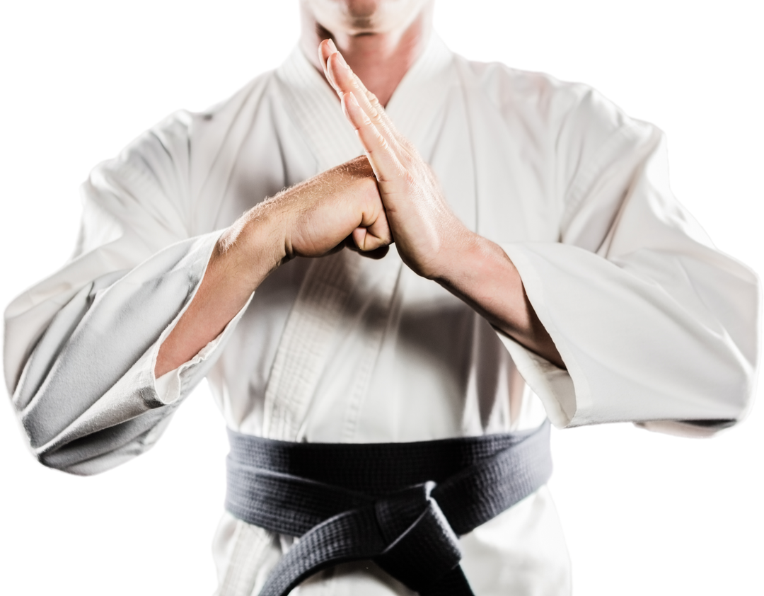 Martial Artist Performing Hand Salute with Transparent Background - Download Free Stock Images Pikwizard.com