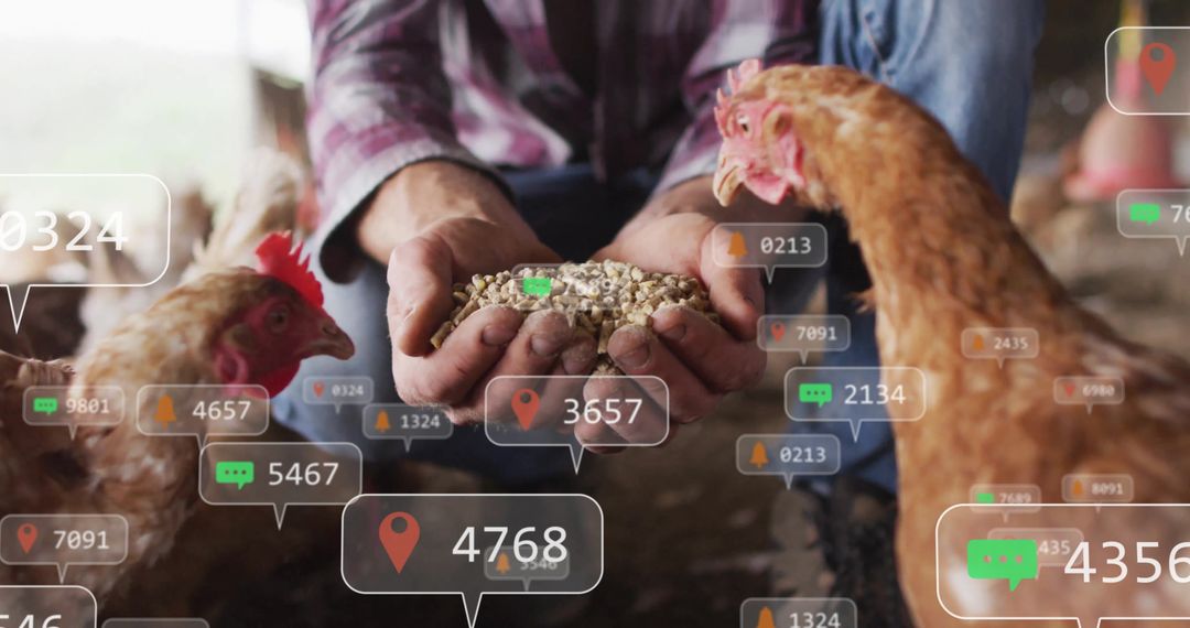 Farmer Feeding Pigeons with Remote Monitoring Technology