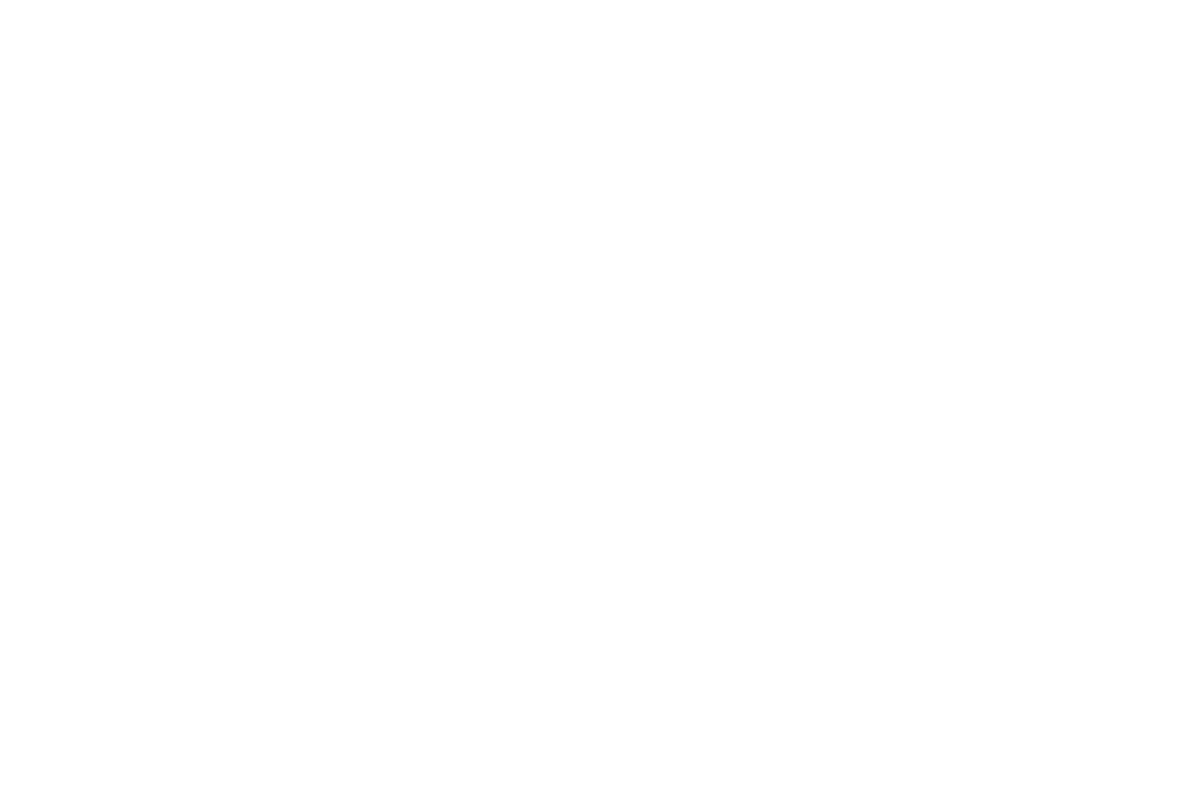 Transparent Silhouette Hand Holding Smartphone
