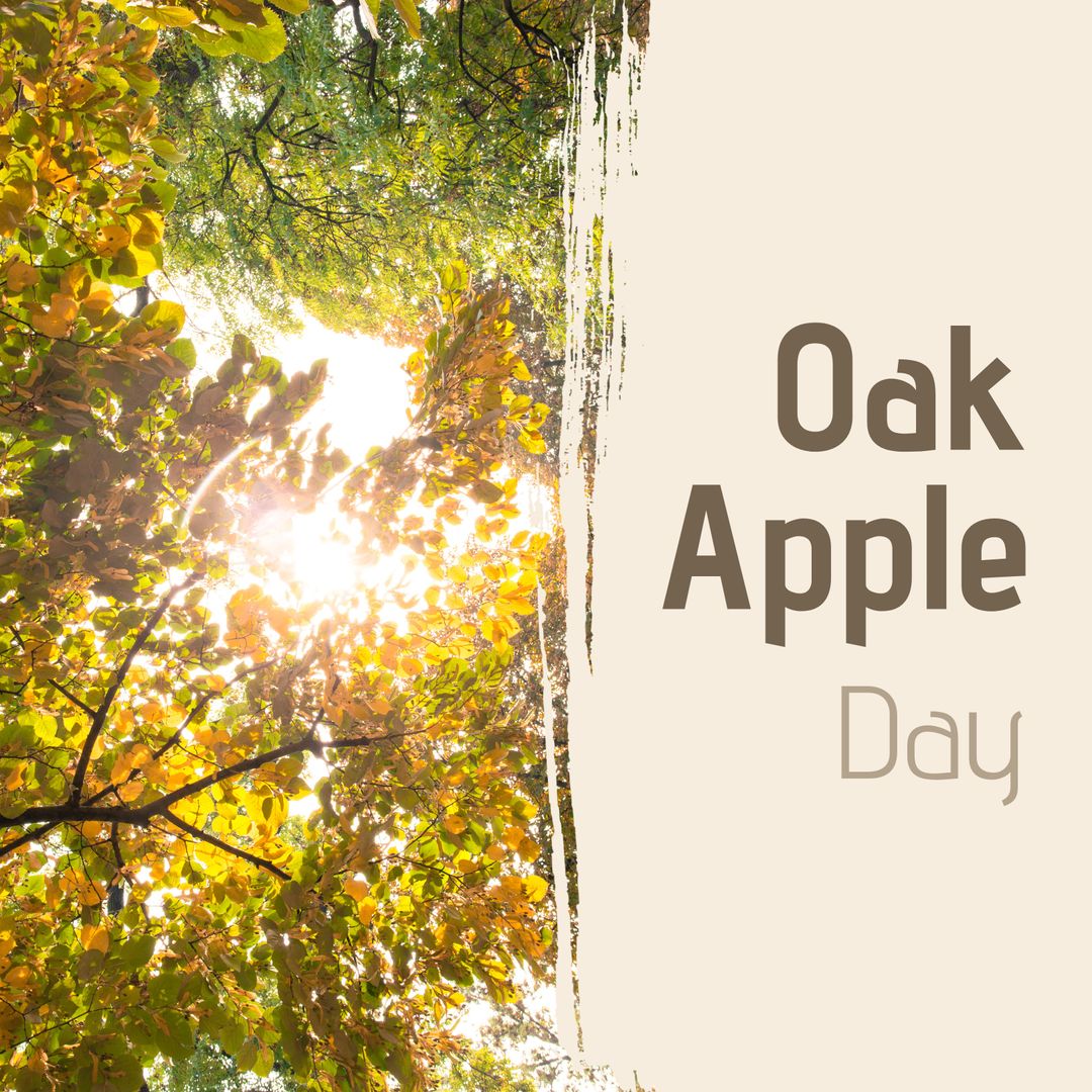 Oak Apple Day Celebration with Vibrant Sunlit Foliage