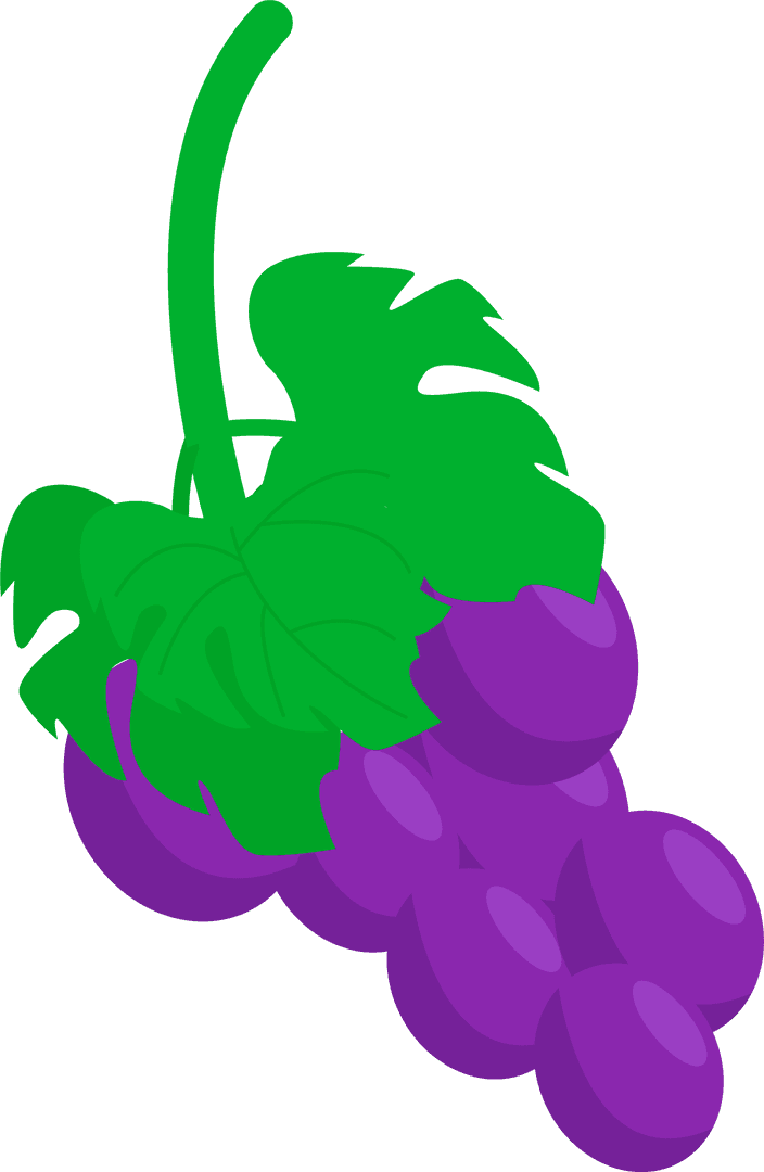 Lively Purple Grapes with Leaf on Transparent Background