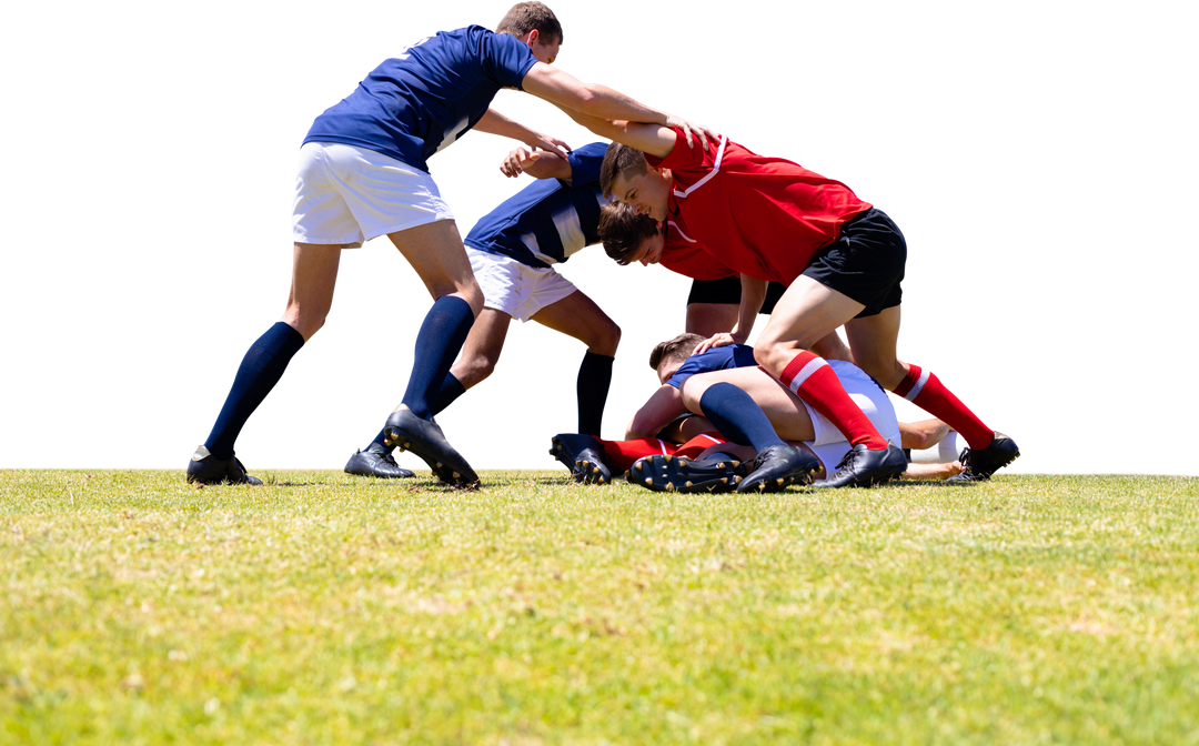 Diverse Rugby Players Competing Intensely on Transparent Background - Download Free Stock Images Pikwizard.com