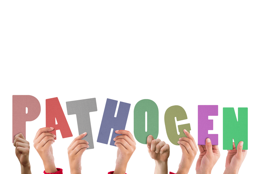 Hands Holding Pathogen Letters on Transparent Background