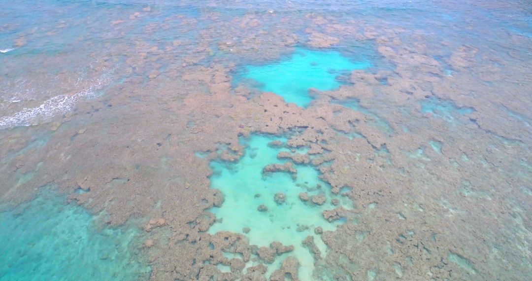 Aerial View of Vibrant Coral Reefs in Clear Turquoise Waters - Free Images, Stock Photos and Pictures on Pikwizard.com