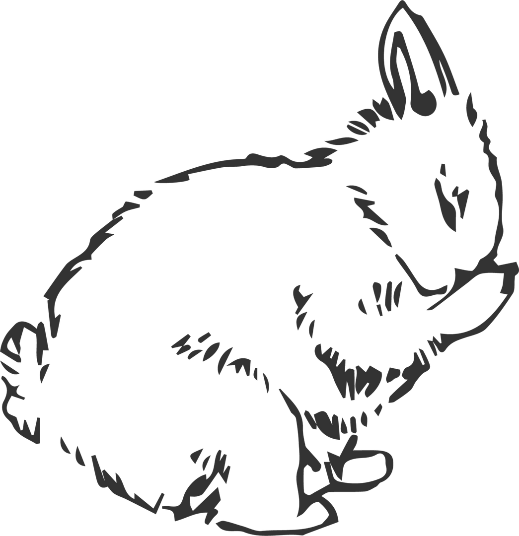 Transparent Outline of Rabbit Cleaning Face Isolated on Blank Background - Download Free Stock Images Pikwizard.com