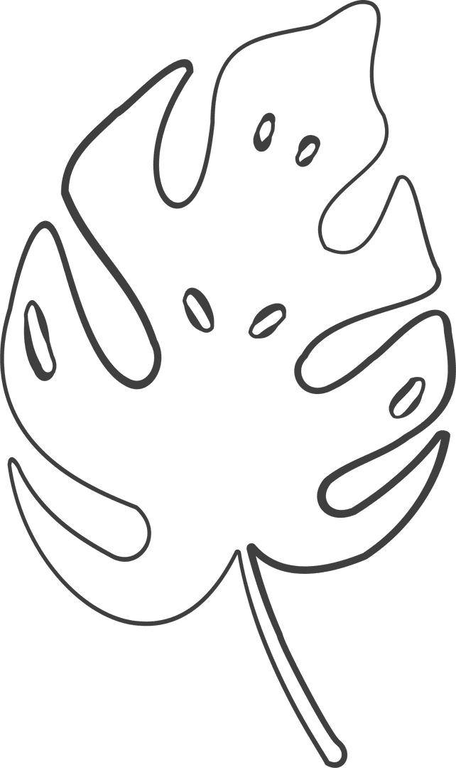 Minimalist Transparent Monstera Line Drawing Illustration