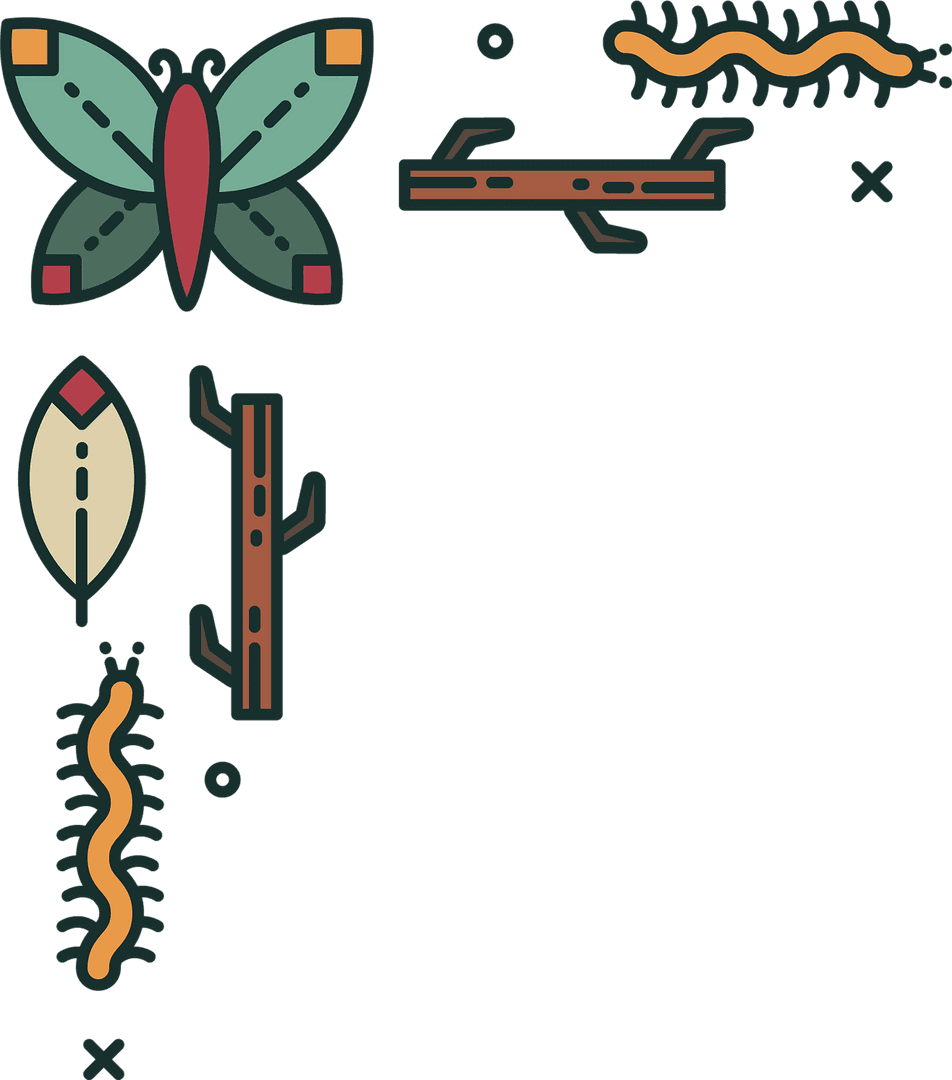 Transparent Butterflies and Earthworms Illustration on Sticks