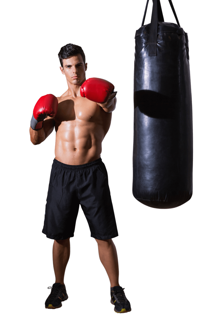 Fit Caucasian Boxer Posing on Transparent Background