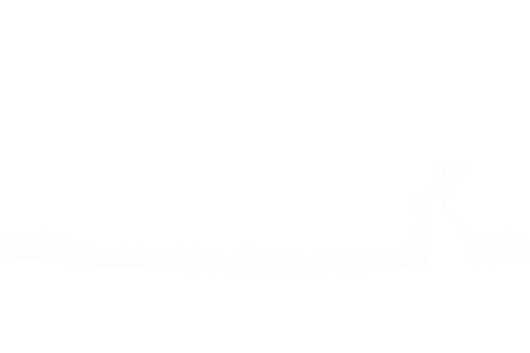 Transparent Silhouette of Bunny with Grass Vector