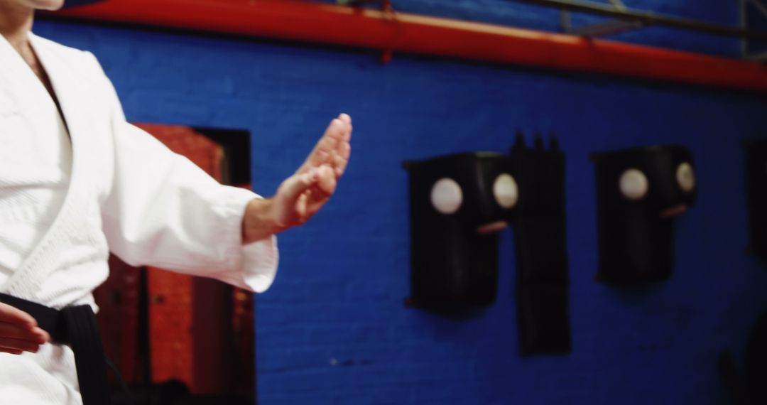 Martial Artist in White Gi Practicing Hand Strike - Free Images, Stock Photos and Pictures on Pikwizard.com