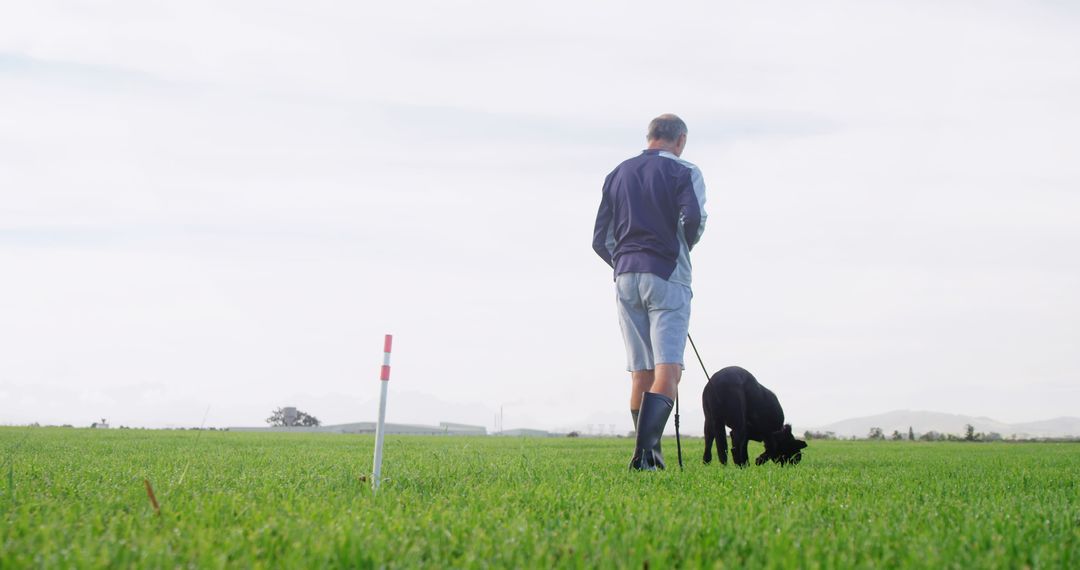 Man Walking Dog in Open Field on Cloudy Day - Free Images, Stock Photos and Pictures on Pikwizard.com