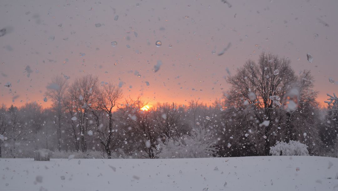 Glowing Sunset Framing Frosted Window with Falling Snow and Bare Winter Trees
