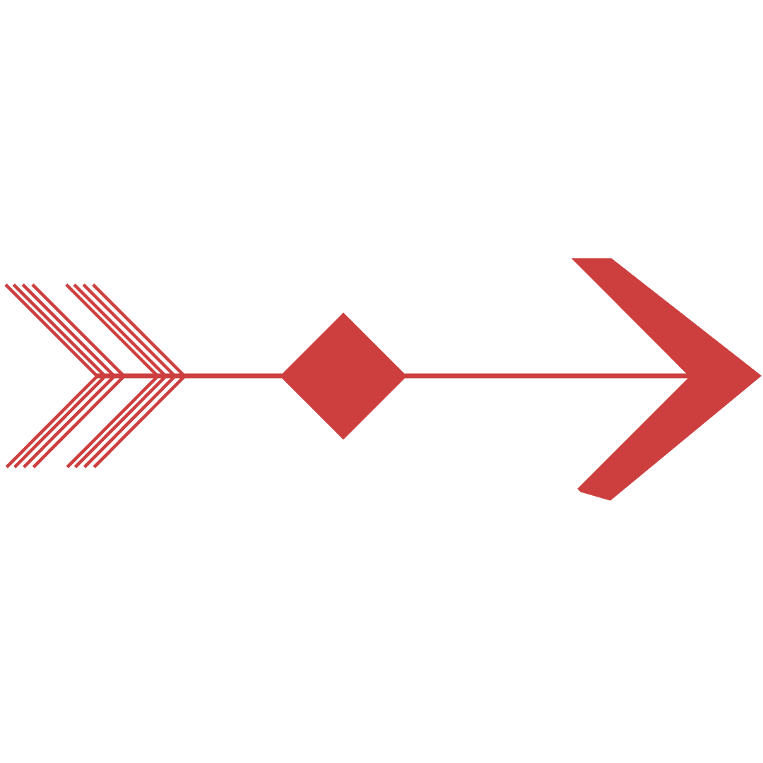 Red Arrow on Transparent Background Symbolizing Direction