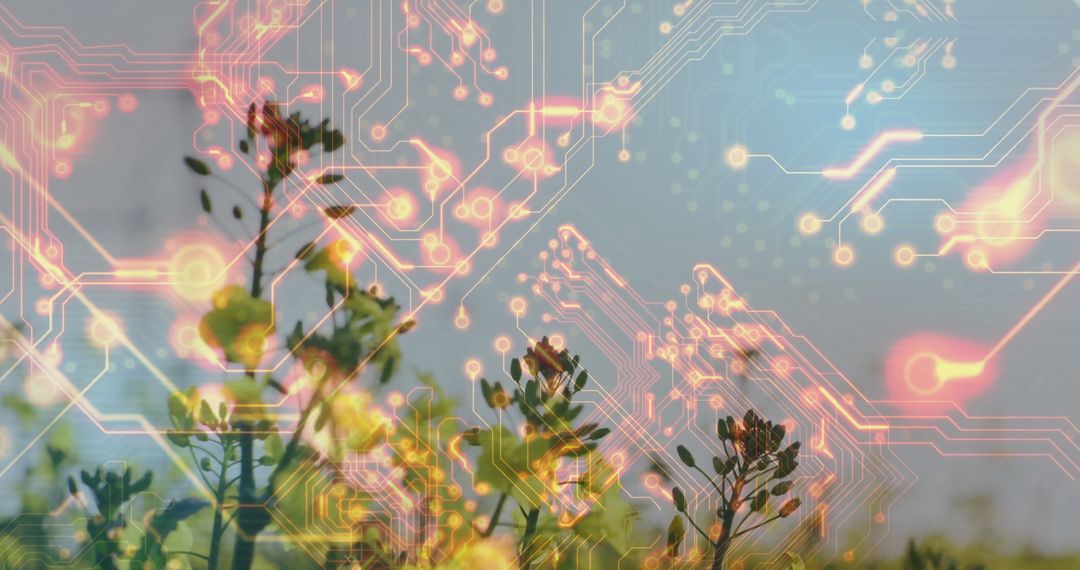 Futuristic Tech-Infused Nature Concept with Circuit Patterns