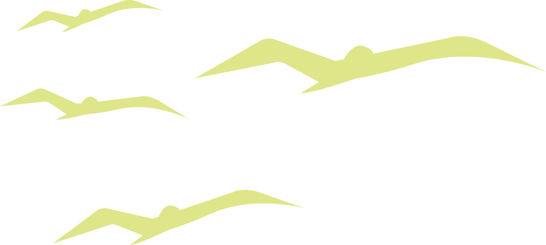 Stylized Bird Silhouettes Soaring on Transparent Background