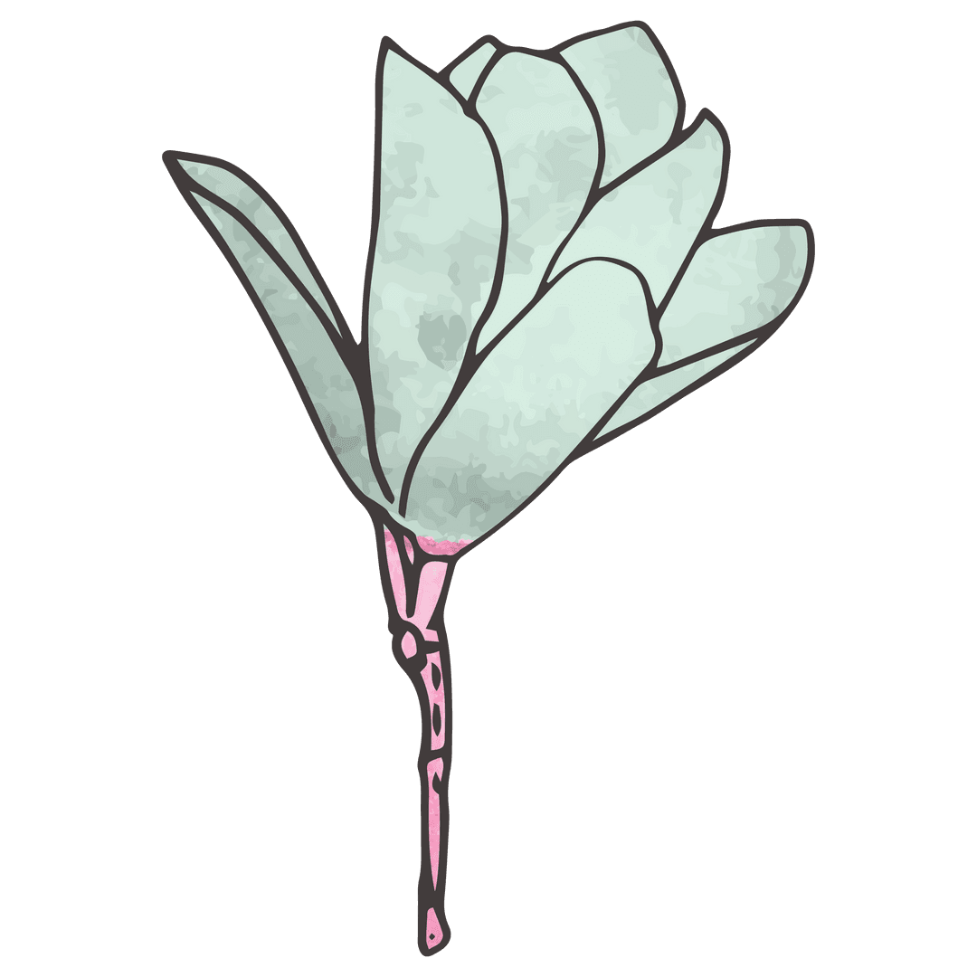 Transparent Flower Petal Bundle on Branch with Green Leaves