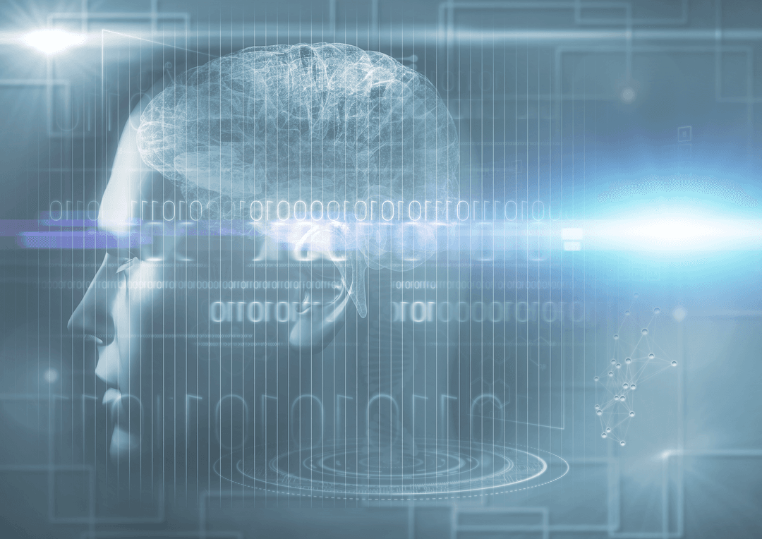 Transparent Digital Brain with Binary Code Art - Download Free Stock Images Pikwizard.com