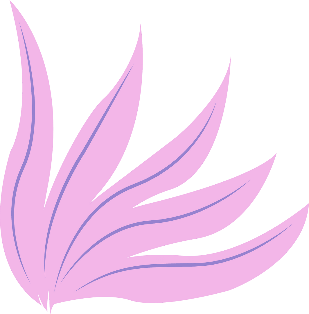 Abstract Pink and Violet Fan Shapes on Transparent Background