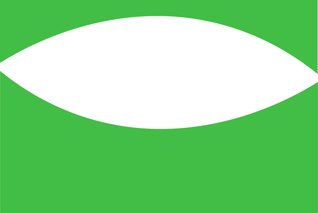 Green Abstract Shape with Black Oval on Transparent Background