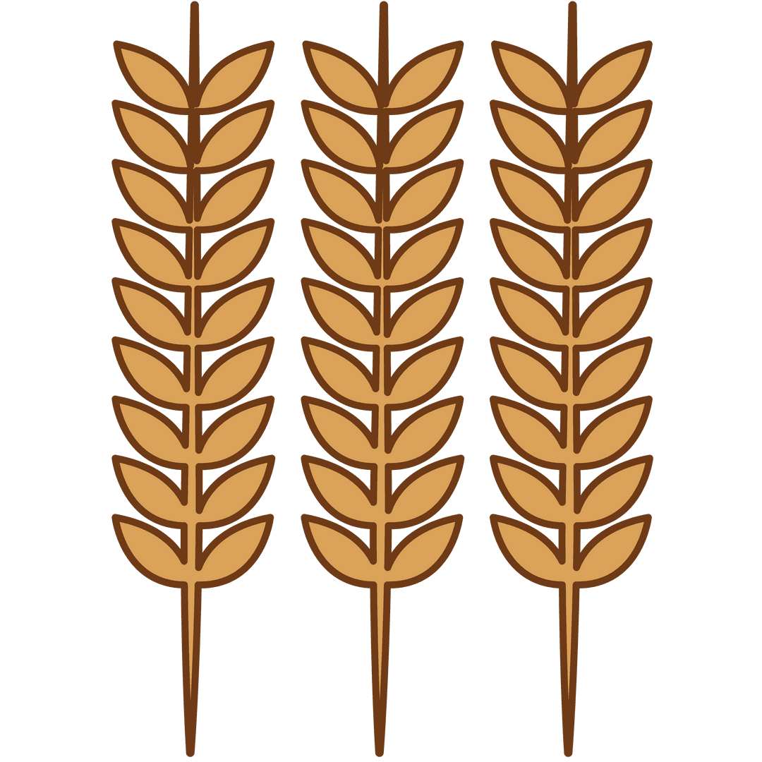 Golden Ears of Corn Illustration on Transparent Background