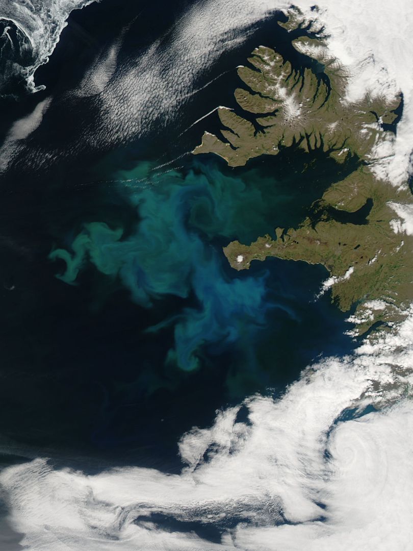 Phytoplankton bloom off western Iceland - Free Images, Stock Photos and Pictures on Pikwizard.com