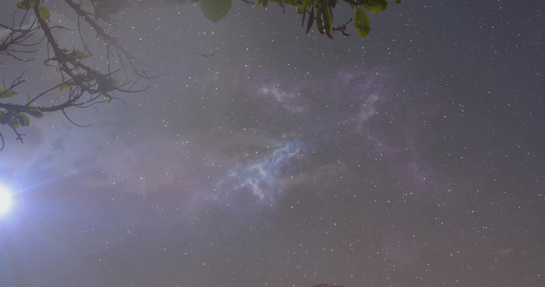 Starlit Night Sky with Nebula and Glowing Planet Over Wooded Branches