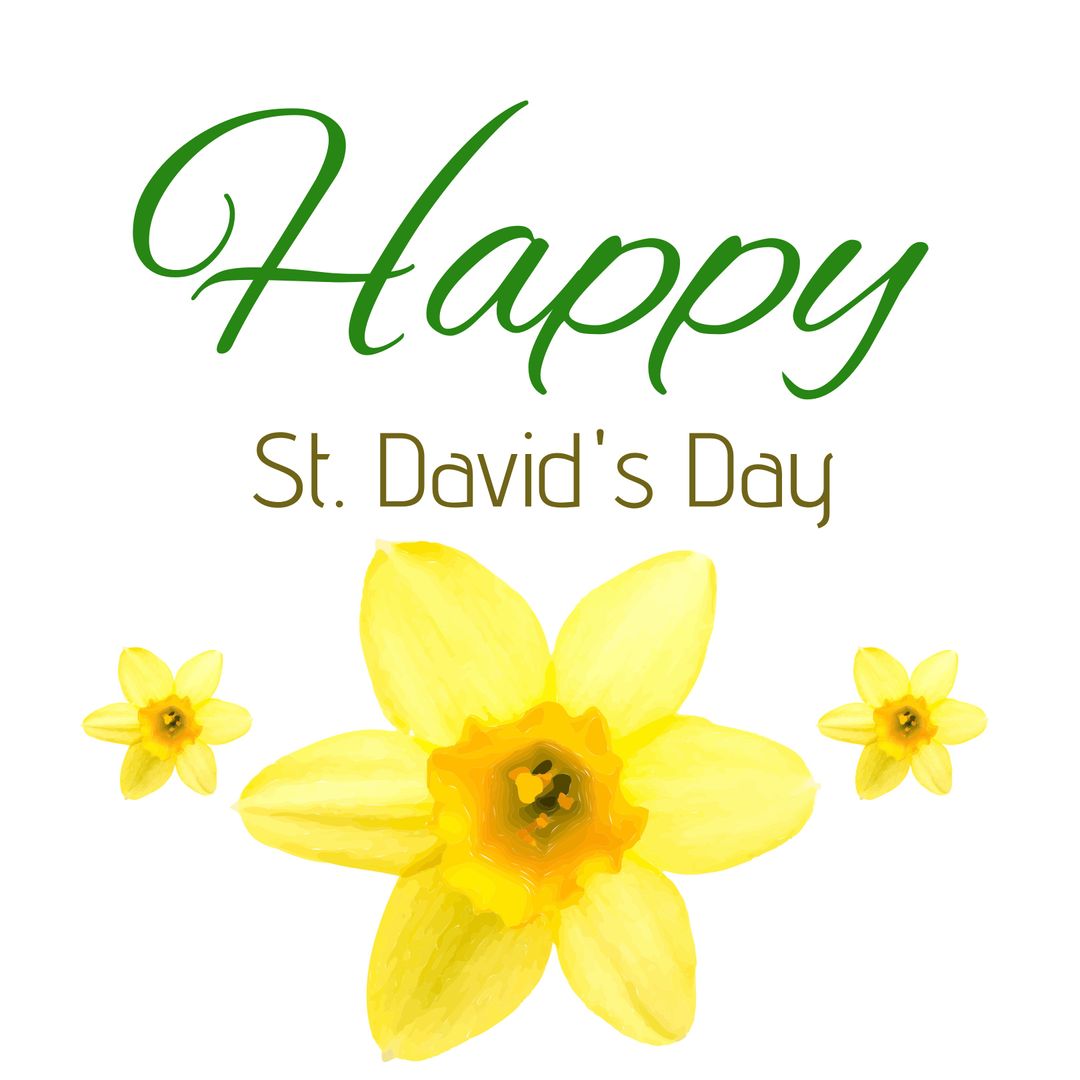 Stunning Daffodil Emblematic of St. David's Day Celebration