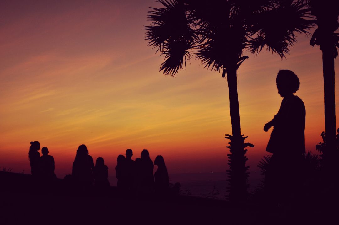 Silhouette of People Standing Under Orange Sky - Free Images, Stock Photos and Pictures on Pikwizard.com