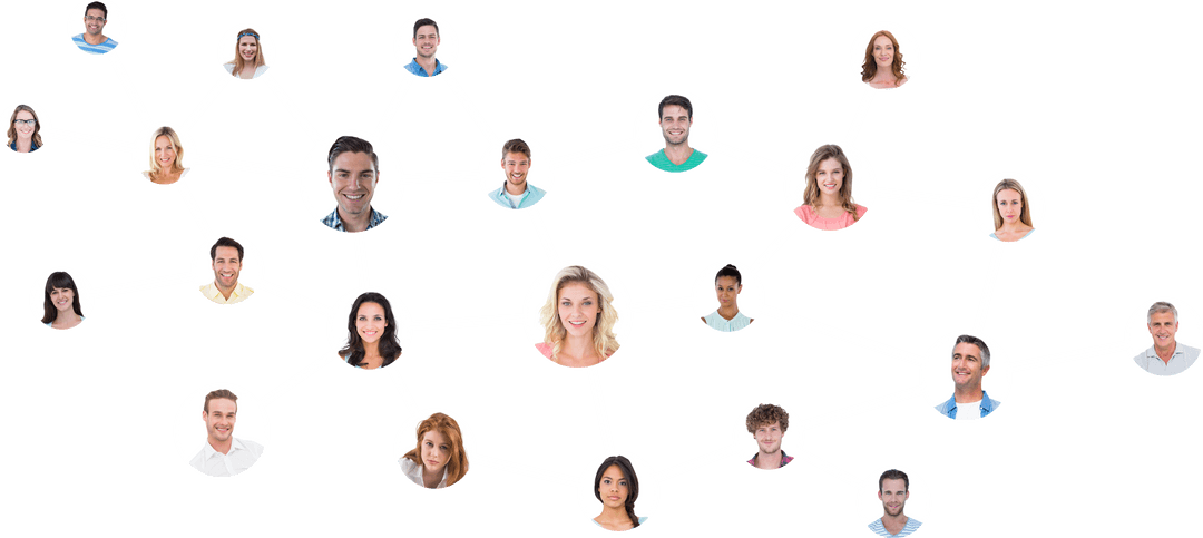 Transparent Network Connections of Business Professionals