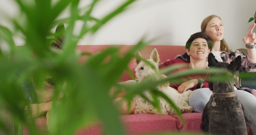 Friends Relaxing with Dogs on Couch Behind Houseplants - Free Images, Stock Photos and Pictures on Pikwizard.com