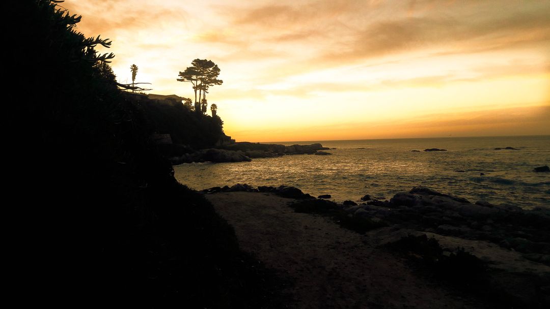 Sunset Over Rocky Coastline with Silhouetted Trees - Free Images, Stock Photos and Pictures on Pikwizard.com