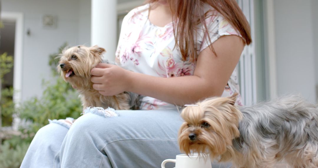 Relaxing in Garden with Two Yorkshire Terriers on a Summer Day