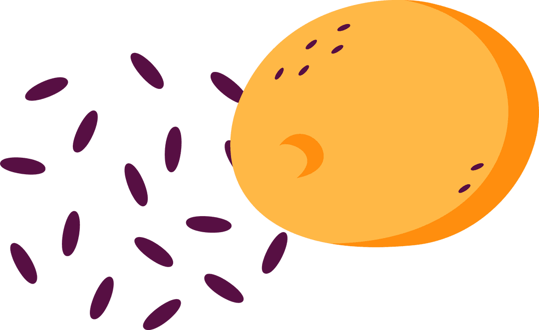Minimalist Papaya Illustration with Seeds on Transparent Background