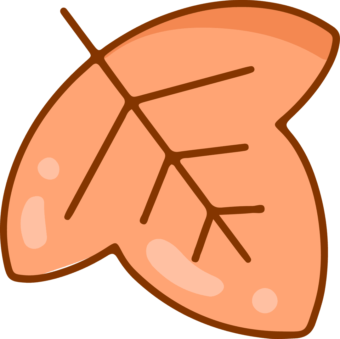 Peach-Orange Leaf Illustration with Transparent Background