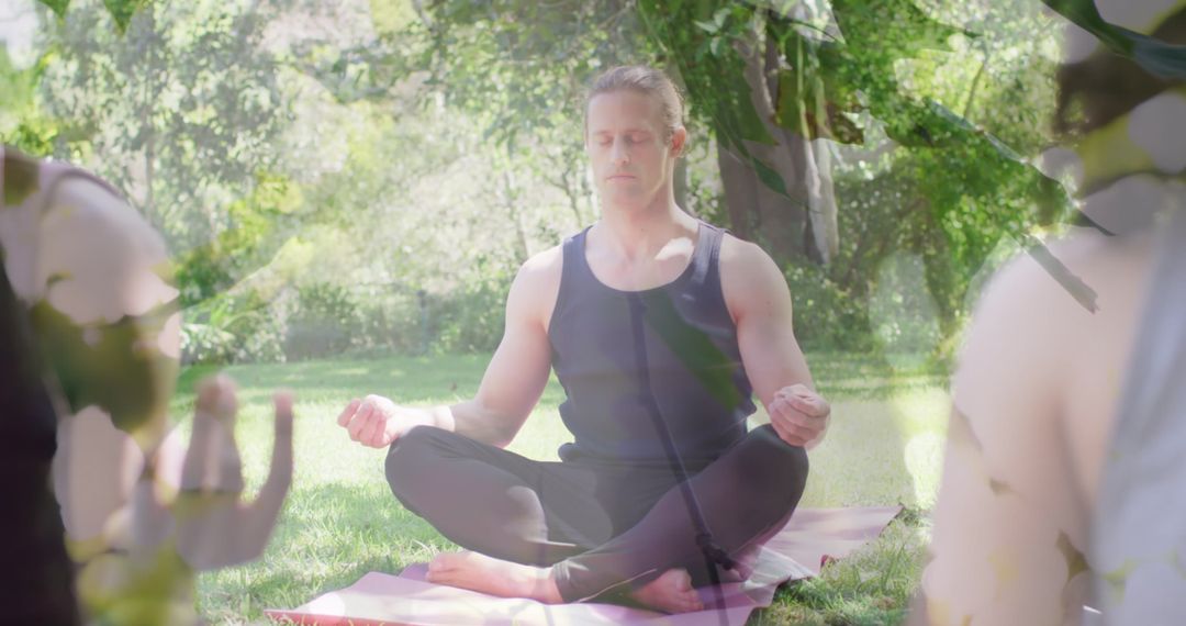 Serene Meditation in Natural Setting with Diverse Group