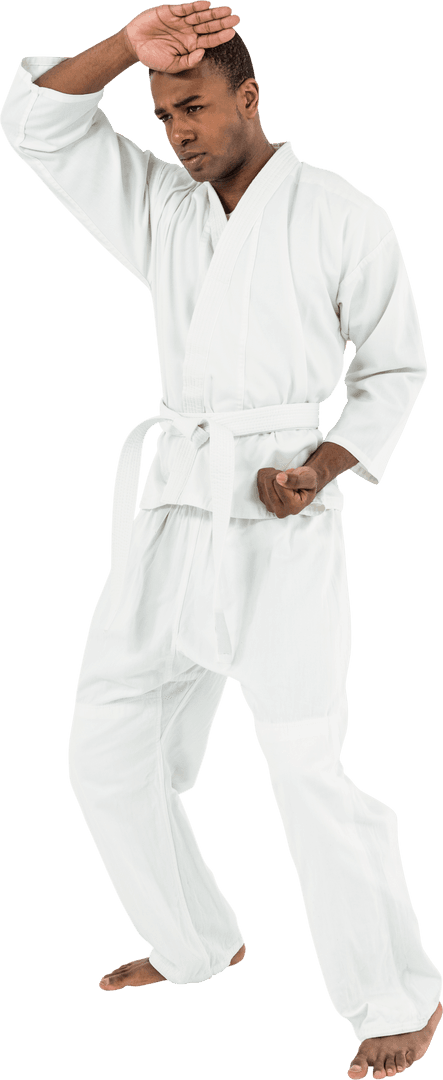 Transparent Martial Artist Expressing Karate Prowess