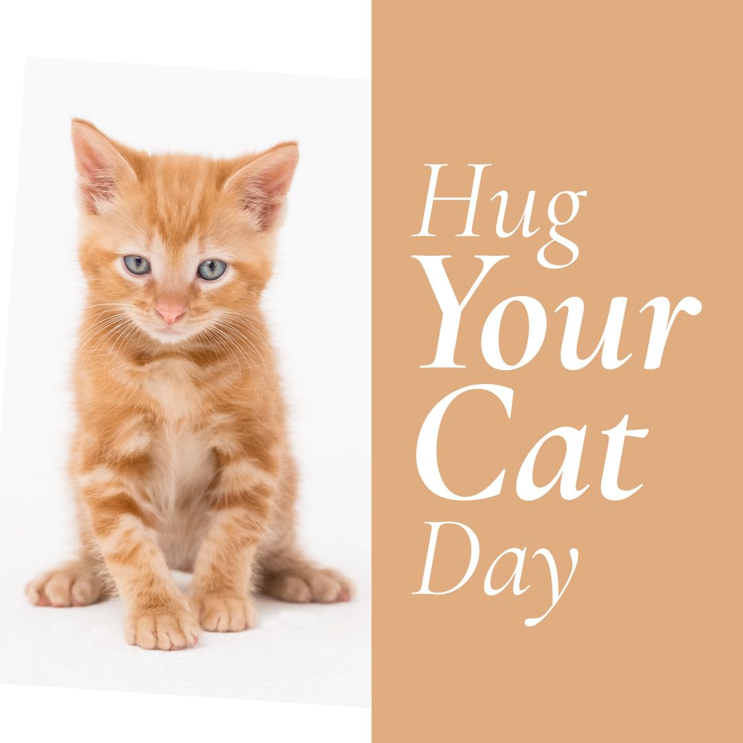 Celebrating Hug Your Cat Day with Adorable Orange Kitten