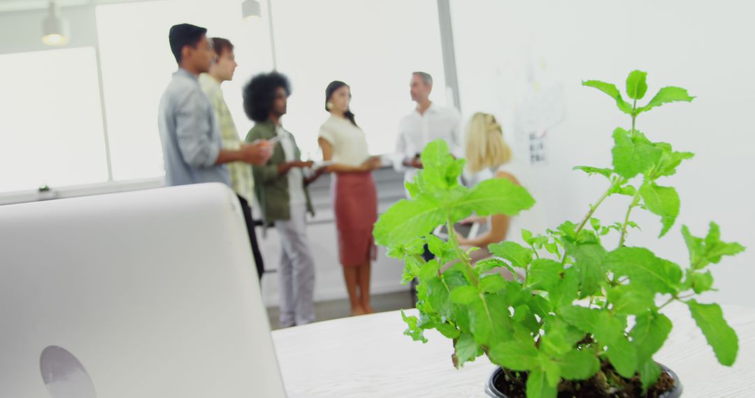 Diverse Team Collaborating in Modern Office with Green Plant on Foreground - Free Images, Stock Photos and Pictures on Pikwizard.com