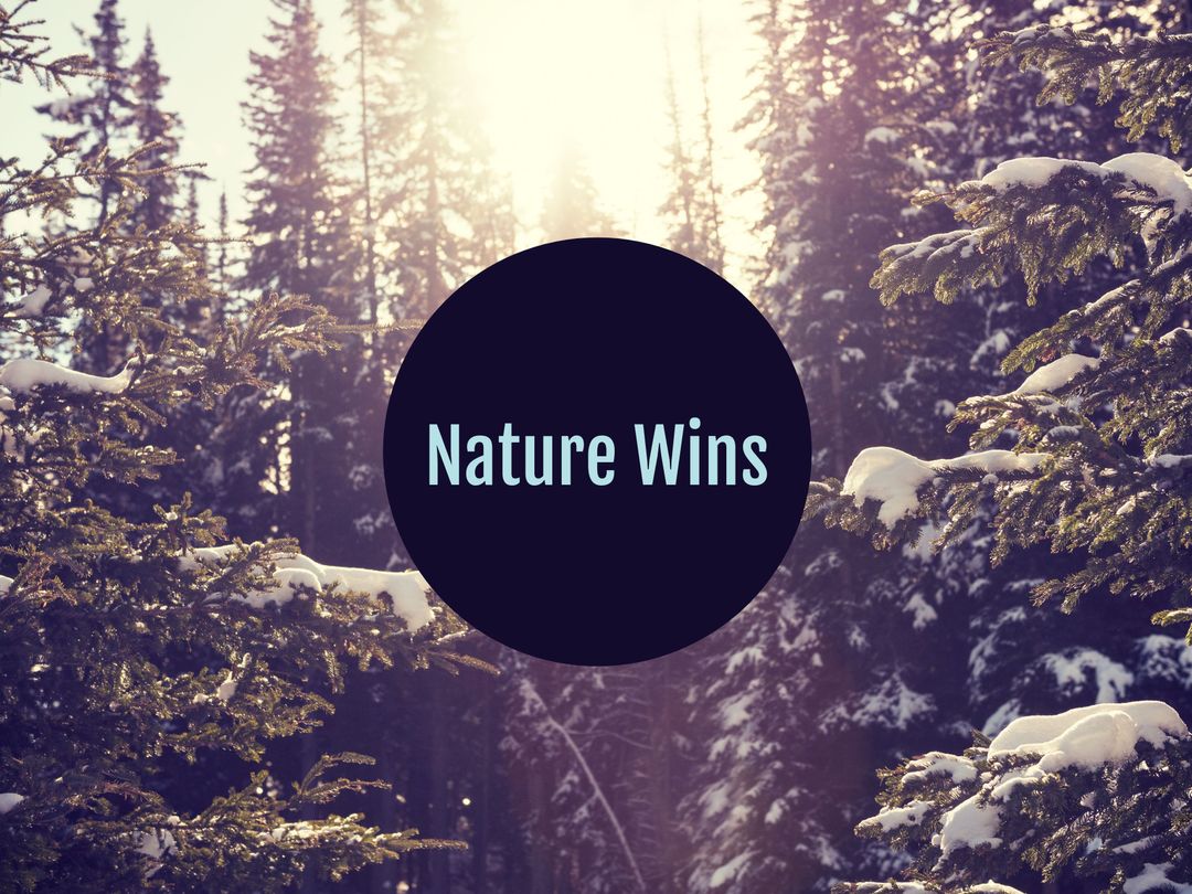 Wintery Forest Scene with Motivational Text