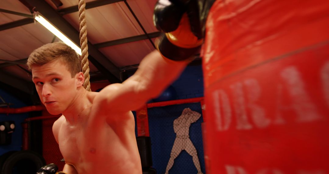 Young Boxer Punching Heavy Bag in Gym - Free Images, Stock Photos and Pictures on Pikwizard.com