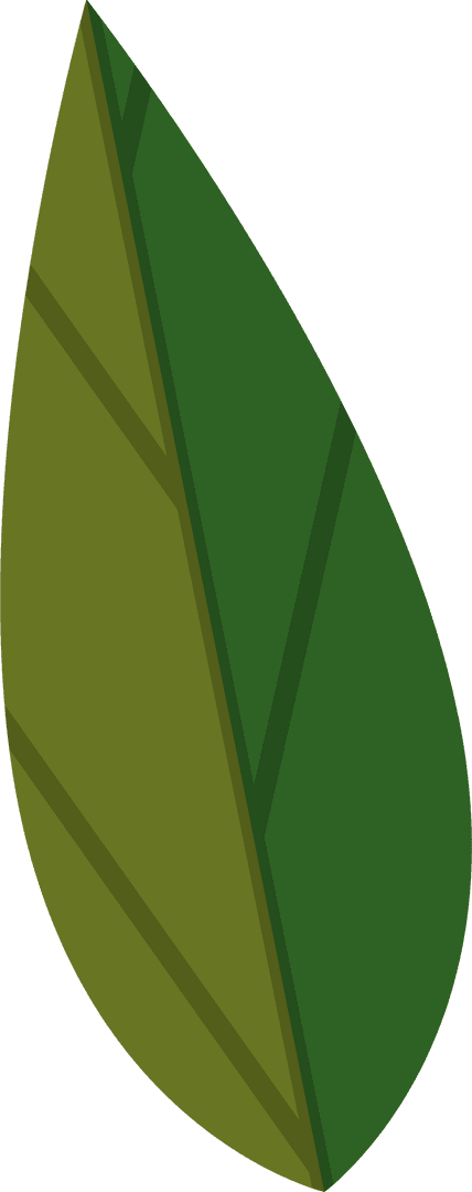 Minimalist Two-Tone Flat Leaf With Transparent Background