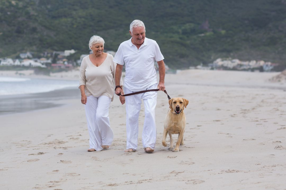 Senior couple walking on the beach with dog - Free Images, Stock Photos and Pictures on Pikwizard.com