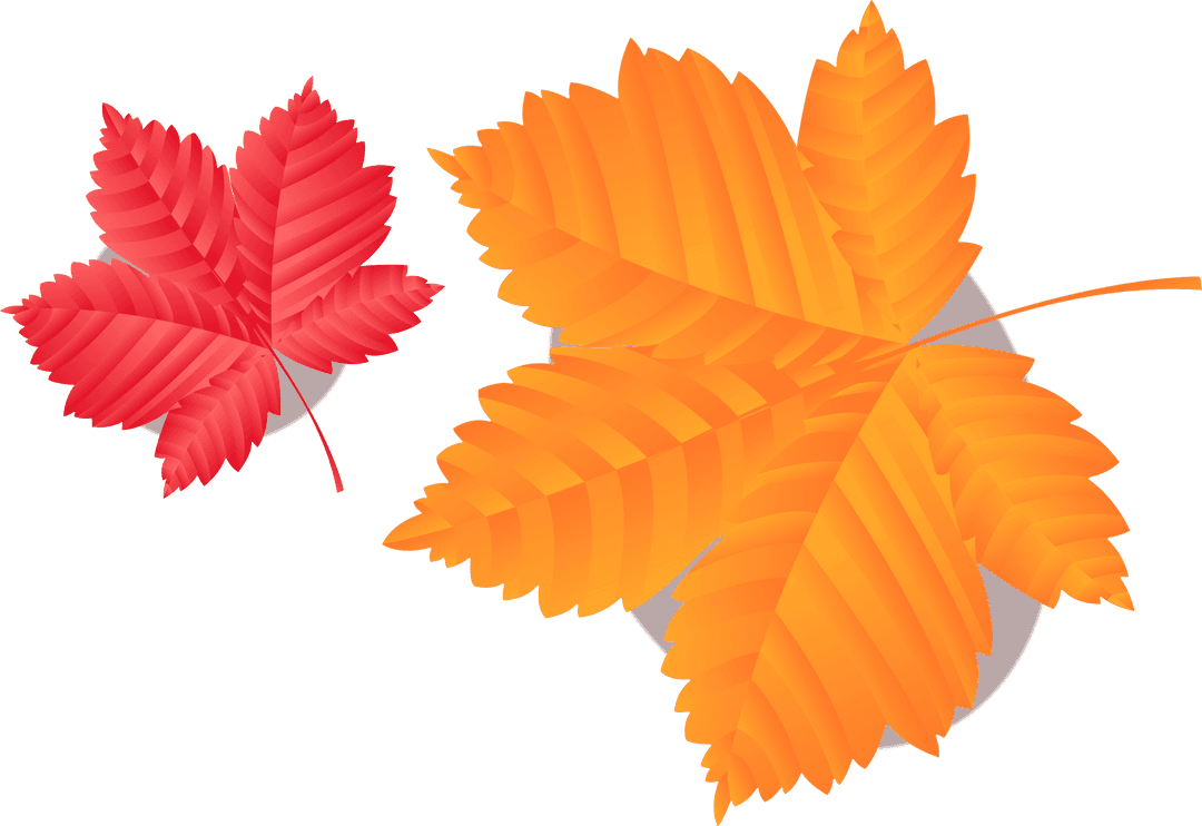 Transparent Background with Two Autumn Leaves in Gradient Flat Design
