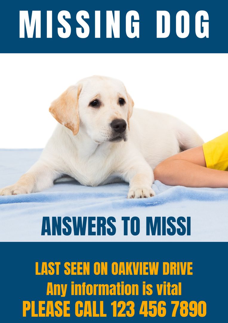 Missing Dog Poster with Contact Information and Picture of Labrador - Download Free Stock Templates Pikwizard.com