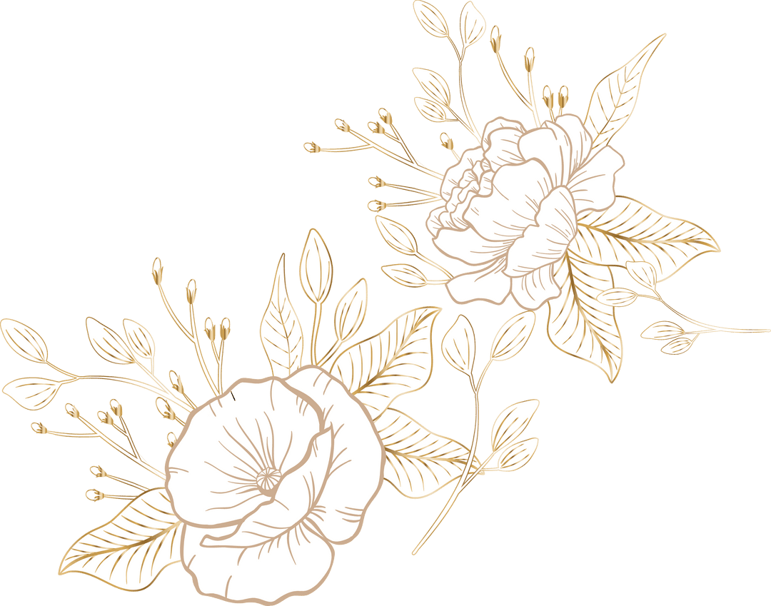 Elegant Minimalistic Floral Botanical Illustration on Transparent