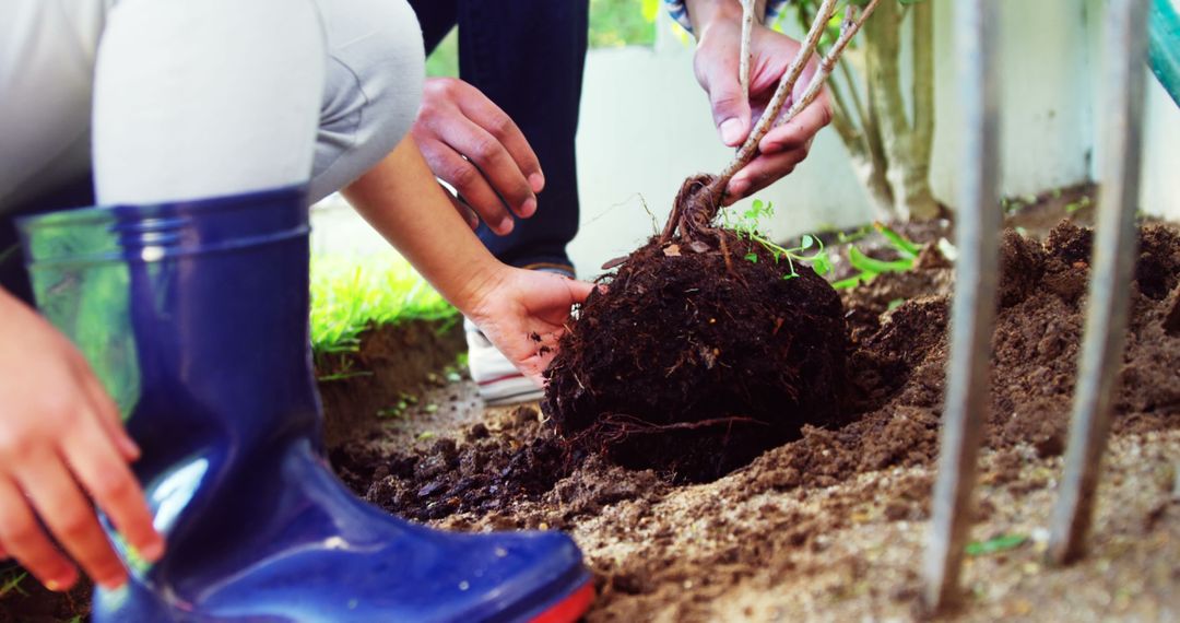 People Planting Tree in Garden with Protective Gloves and Boots - Free Images, Stock Photos and Pictures on Pikwizard.com