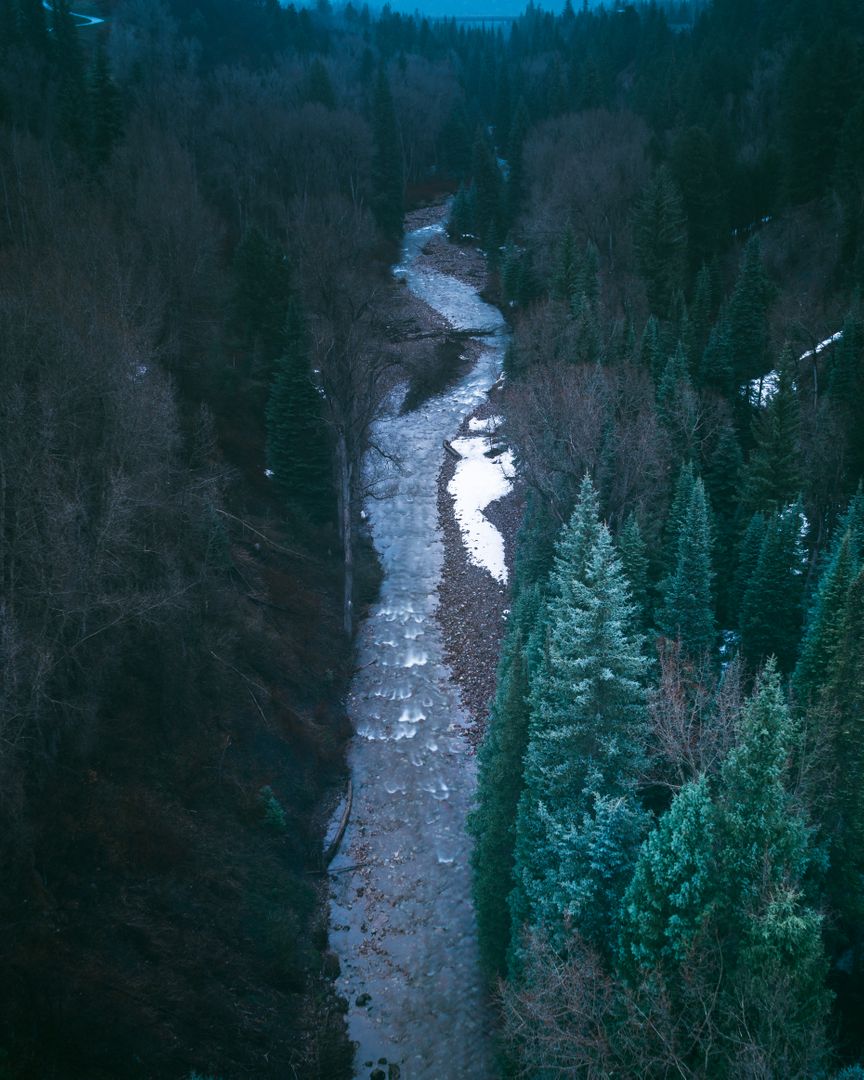 Aerial View of Forest River in Winter with Snow and Pine Trees - Free Images, Stock Photos and Pictures on Pikwizard.com