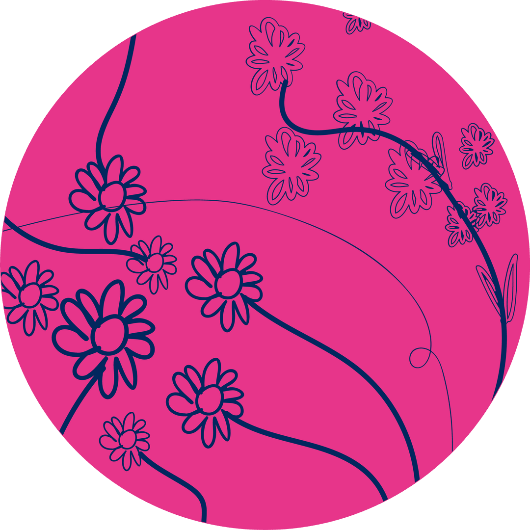 Vibrant Floral Design with Daisies on Transparent Background