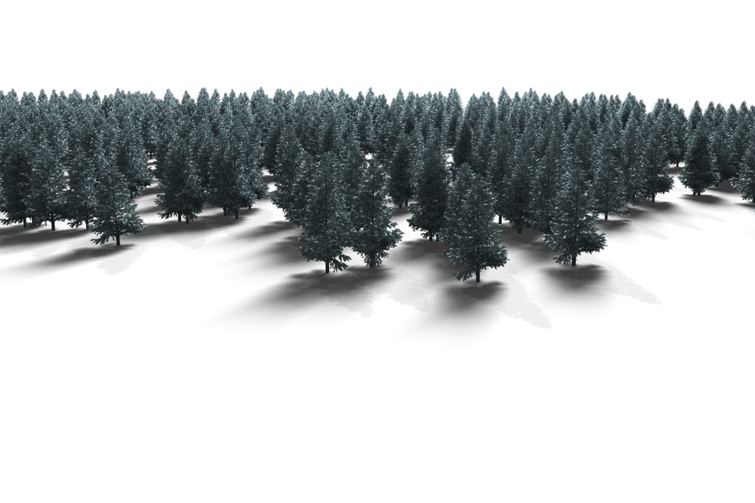 Transparent Winter Forest Trees Isolated on Gradient Background